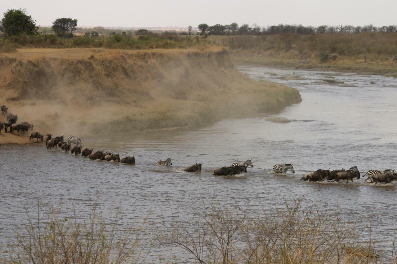 Gnu Mara River Camp Serengeti Exterior foto
